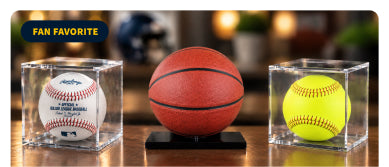 Display Case Set