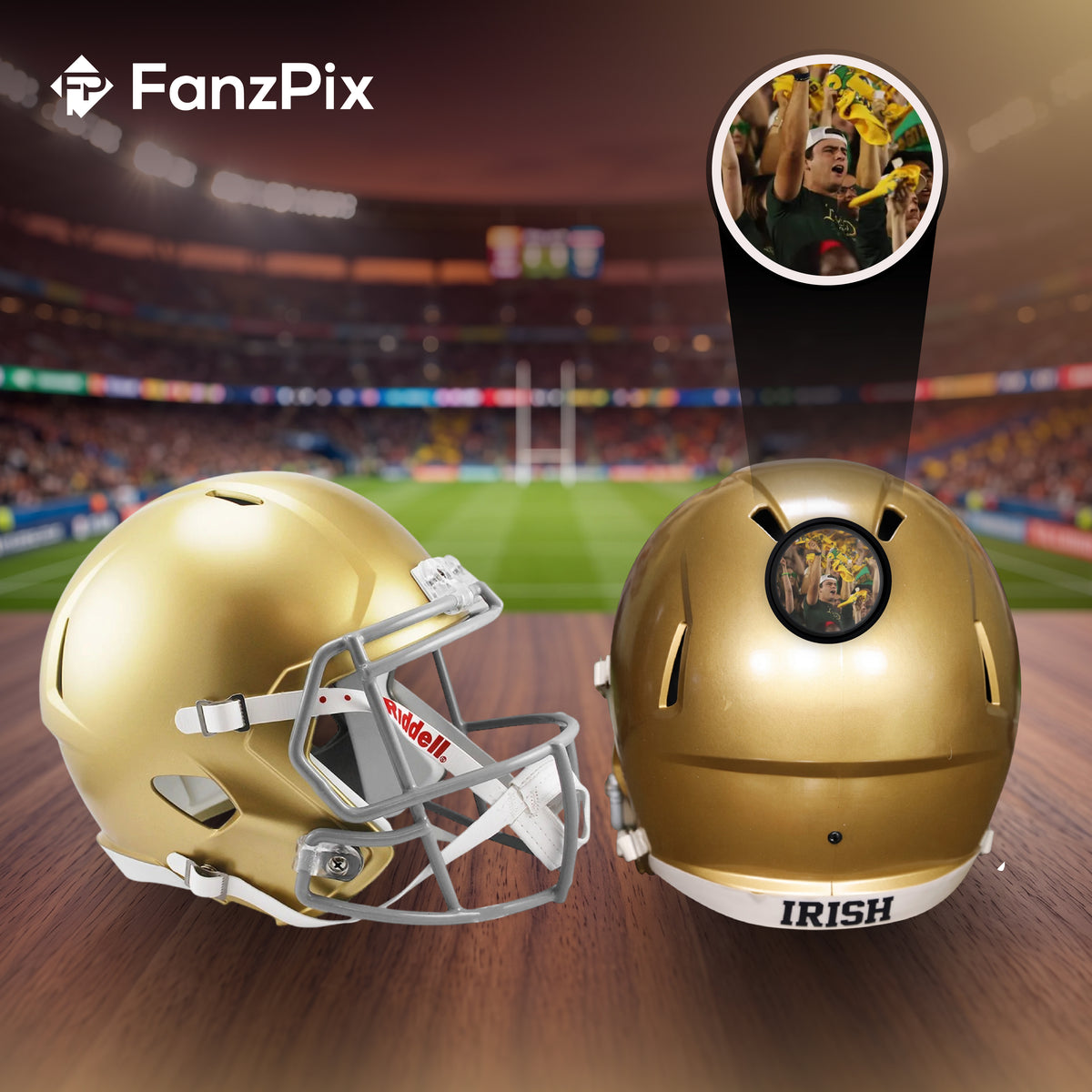 Notre Dame Fighting Irish College Football Collectible Mini Helmet - Picture Inside - FanzPix
