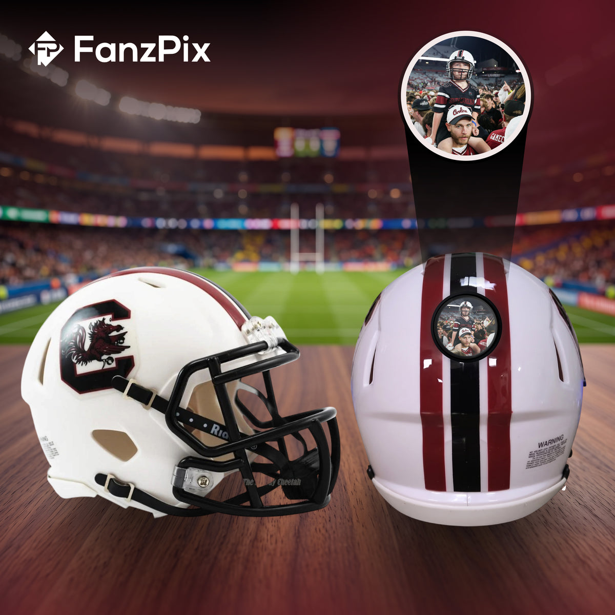 South Carolina Gamecocks College Football Collectible Mini Helmet - Picture Inside - FanzPix