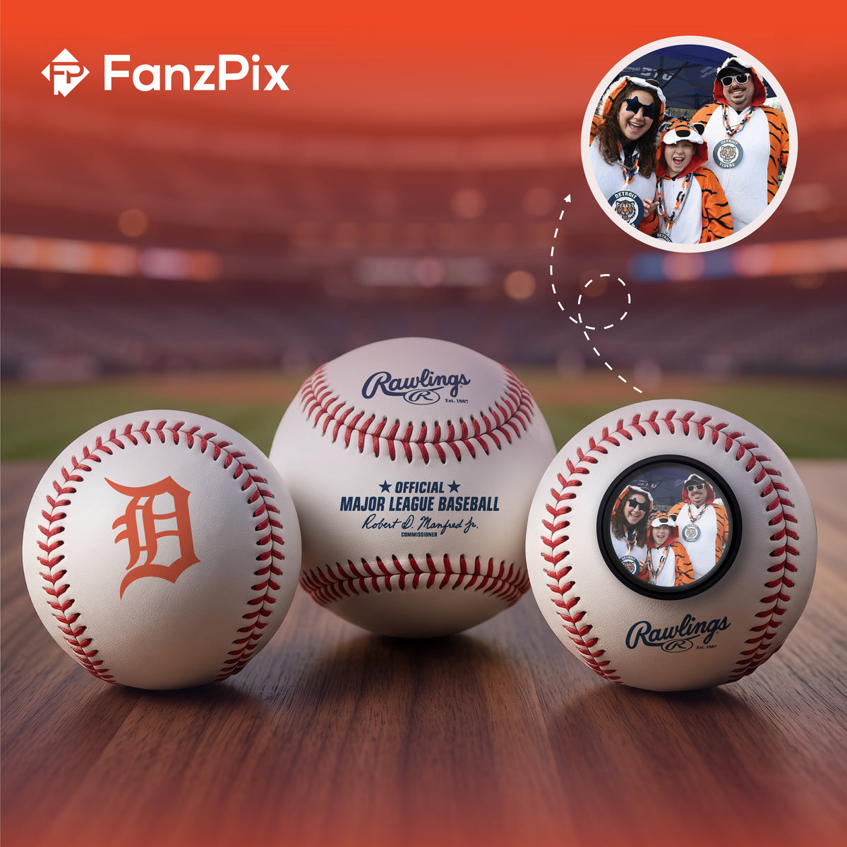 Detroit Tigers MLB Baseball