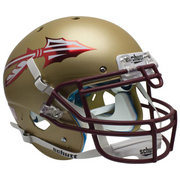 Florida State Seminoles College Football Collectible Schutt Mini Helmet - Picture Inside - FANZ Collectibles - Fanz Collectibles