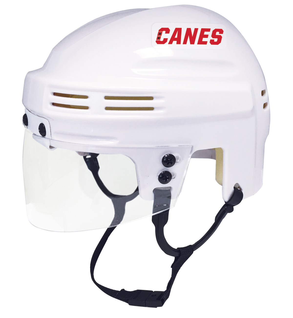 Carolina Hurricanes - NHL Collectible Mini Helmet - Picture Inside - FanzPix