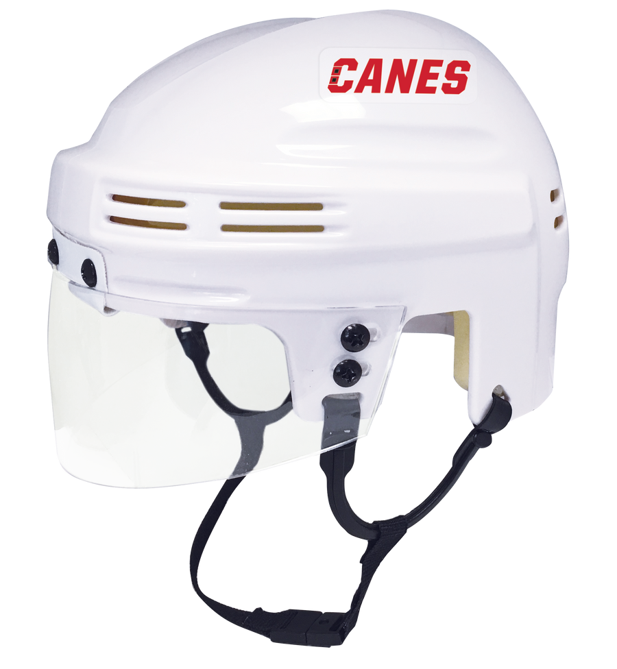 Carolina Hurricanes - NHL Collectible Mini Helmet - Picture Inside - FanzPix