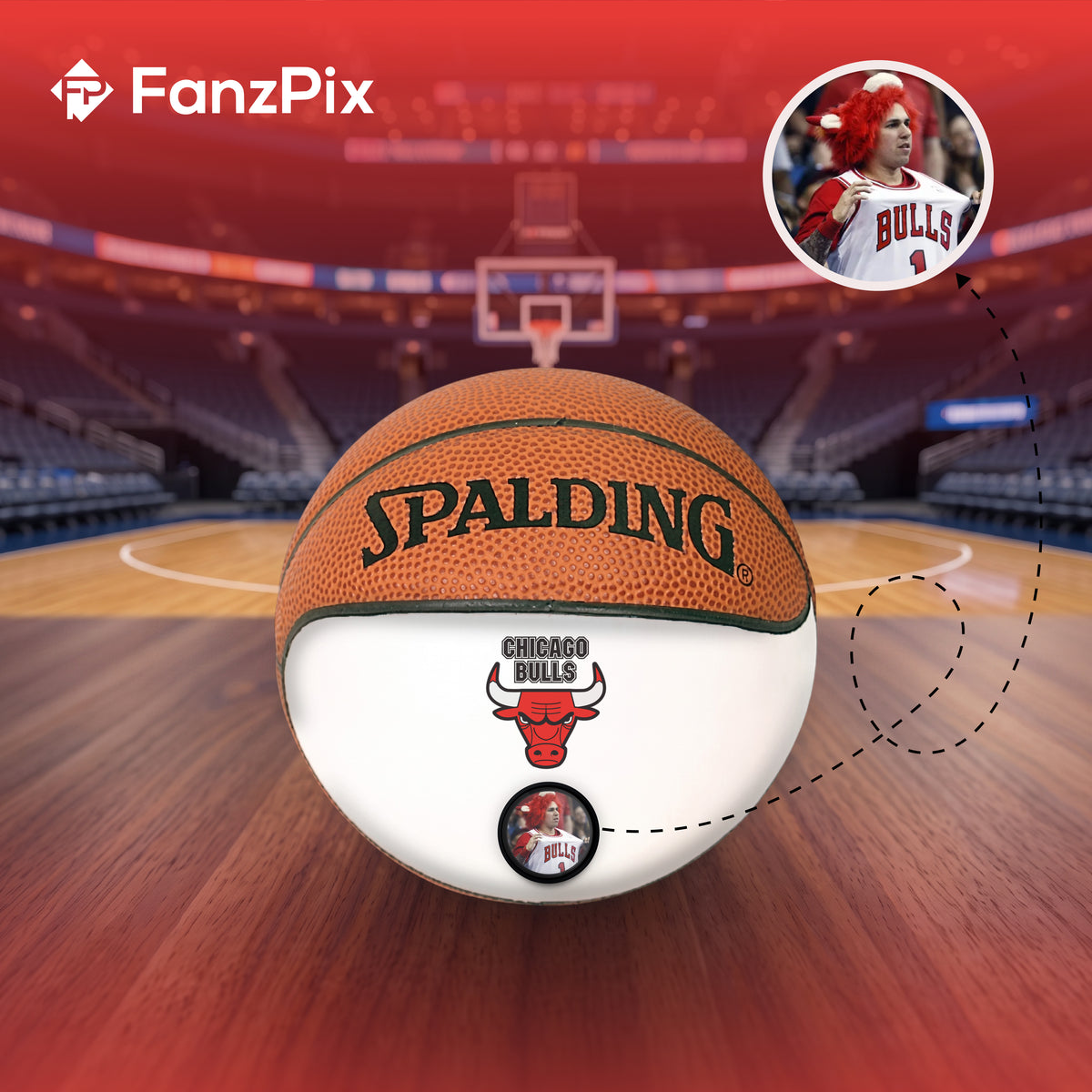 Bulls NBA Collectible Miniature Basketball - Picture Inside